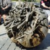 Tour 13: Darß - 2